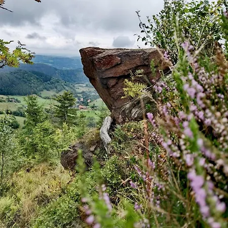 W Zaciszu Gomolnika Gluszyca