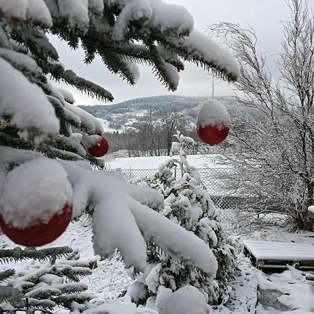 W Zaciszu Gomolnika Kamp alanı Gluszyca
