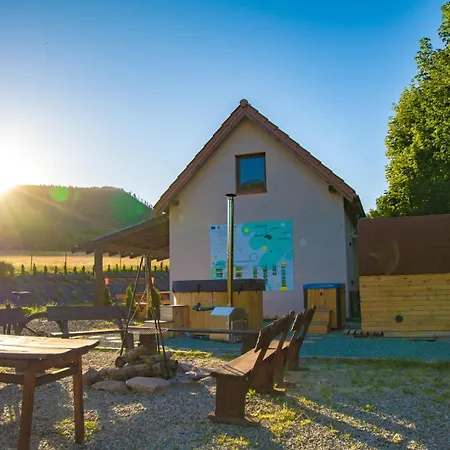 W Zaciszu Gomolnika Kamp alanı *