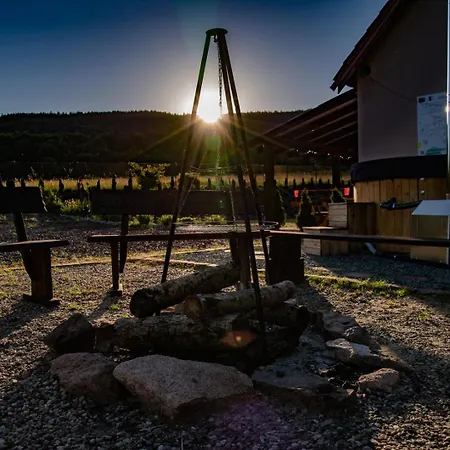 W Zaciszu Gomolnika * Gluszyca