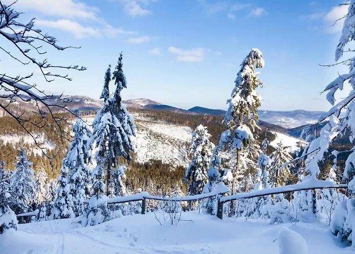 W Zaciszu Gomolnika *