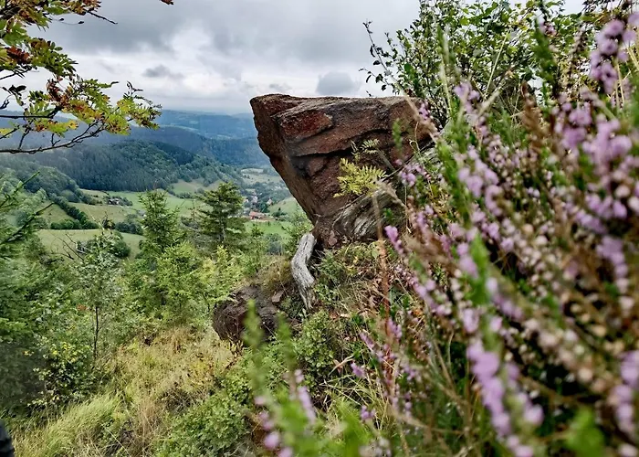 W Zaciszu Gomolnika Gluszyca