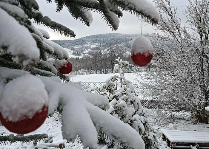 W Zaciszu Gomolnika Campingplads Gluszyca
